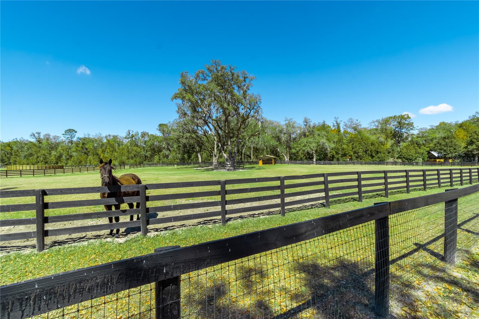 4700 NW 157TH CT, MORRISTON, FL — photo 87
