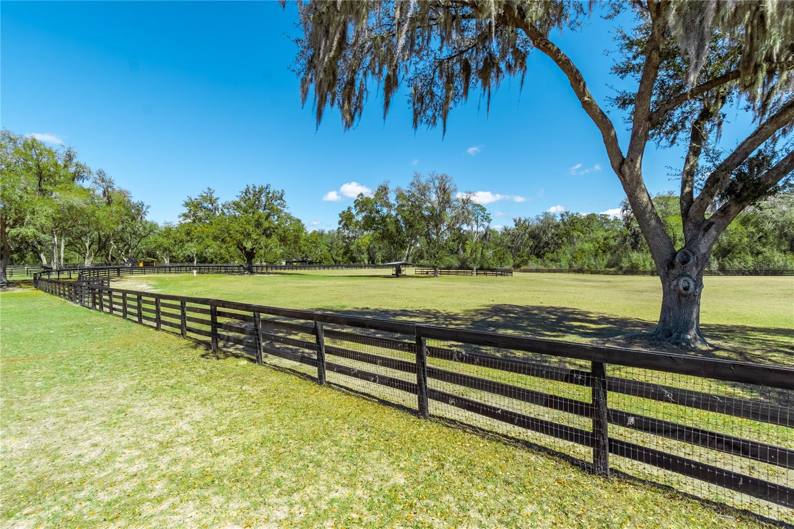 4700 NW 157TH CT, MORRISTON, FL — photo 88