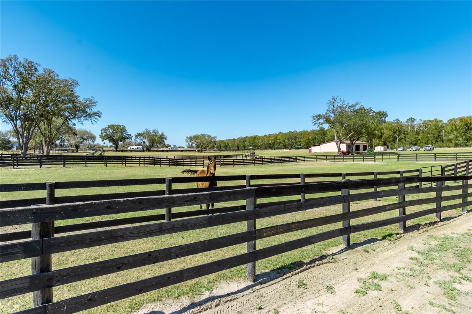 4700 NW 157TH CT, MORRISTON, FL — photo 89