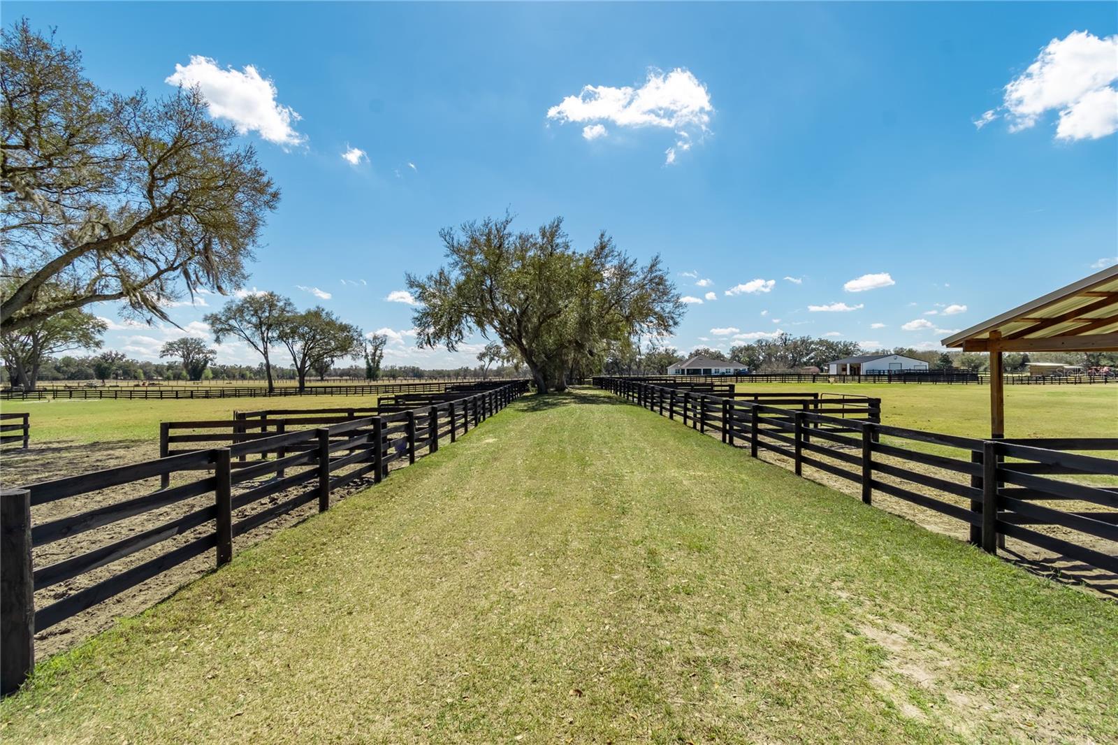 4700 NW 157TH CT, MORRISTON, FL — photo 91