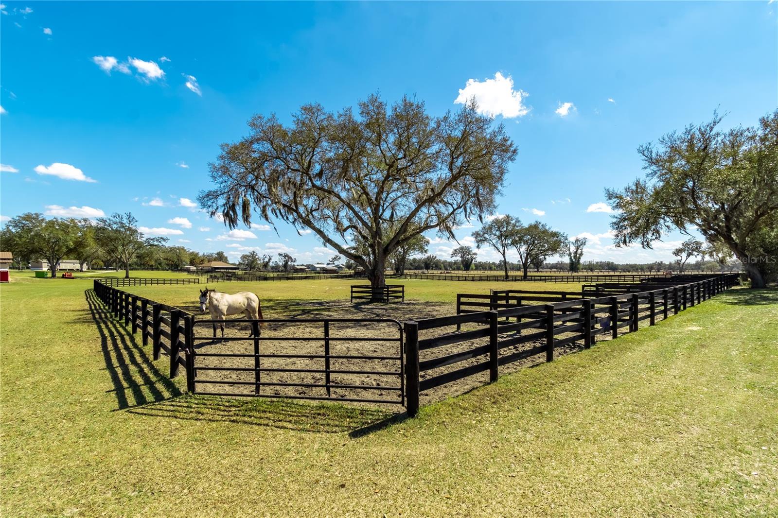 4700 NW 157TH CT, MORRISTON, FL — photo 92