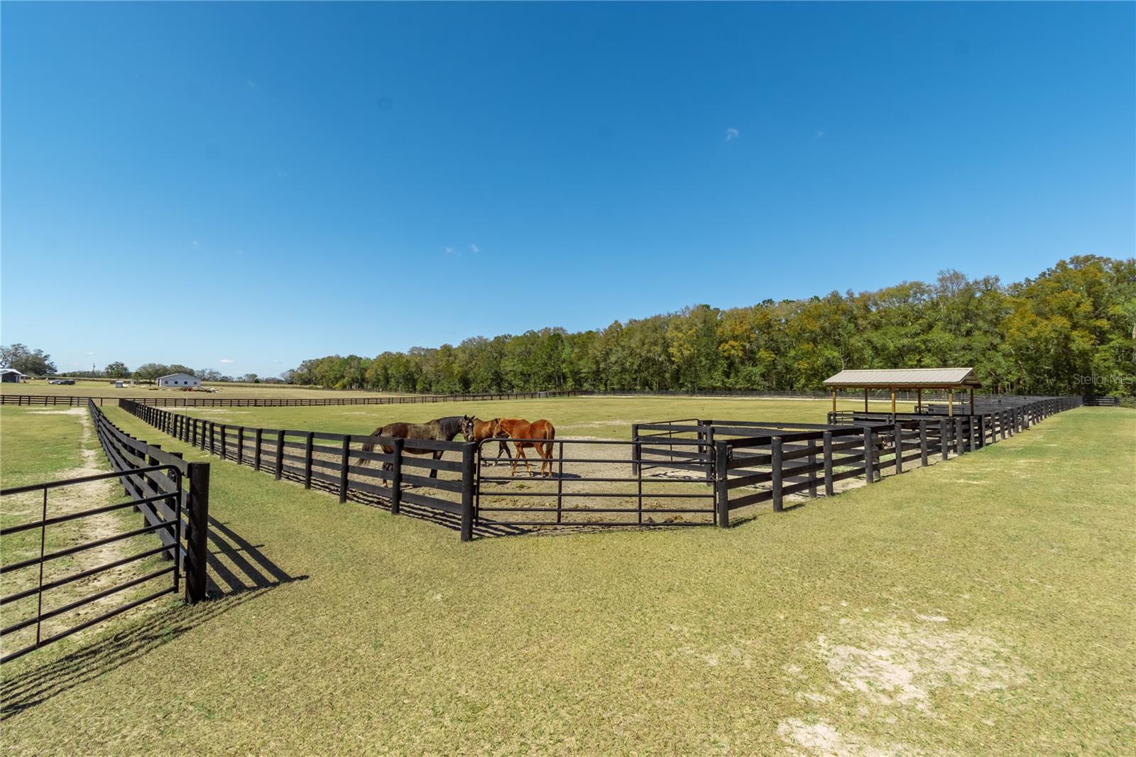 4700 NW 157TH CT, MORRISTON, FL — photo 93