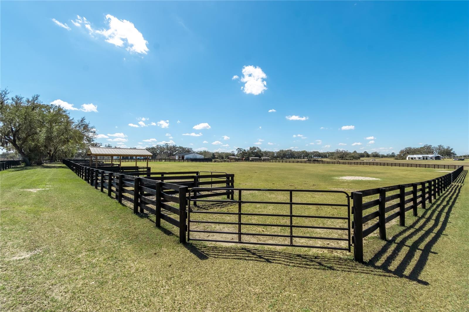 4700 NW 157TH CT, MORRISTON, FL — photo 94