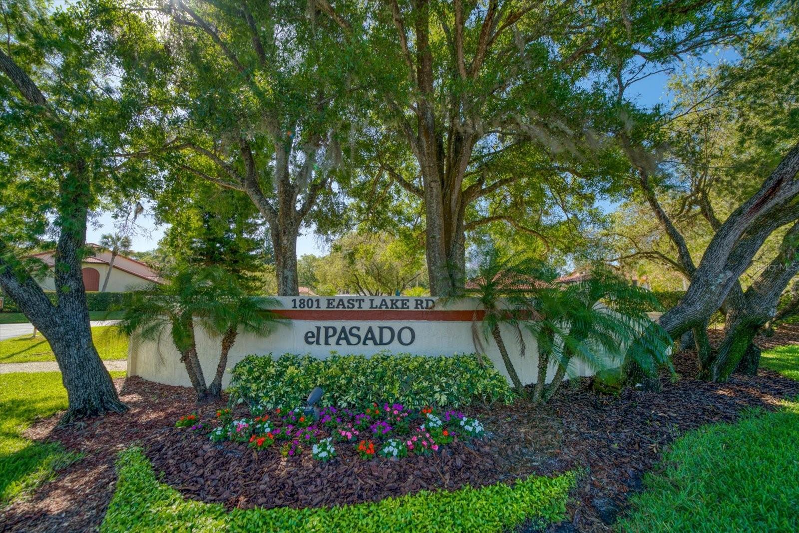 1801 E LAKE RD #10D, PALM HARBOR, FL — photo 2