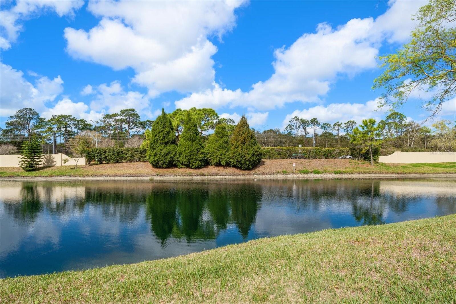 1801 E LAKE RD #10D, PALM HARBOR, FL — photo 22
