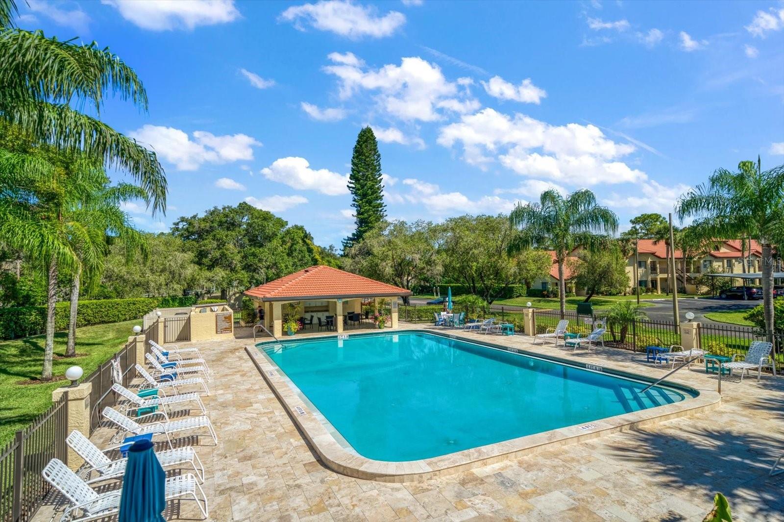 1801 E LAKE RD #10D, PALM HARBOR, FL — photo 24