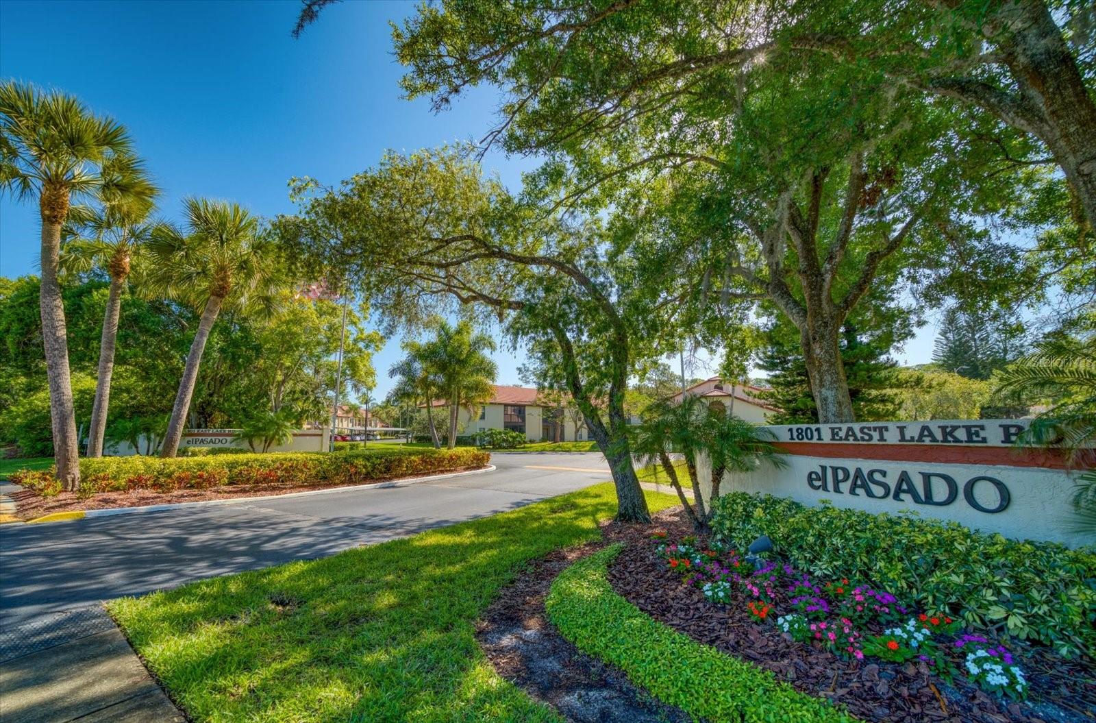 1801 E LAKE RD #10D, PALM HARBOR, FL — photo 27