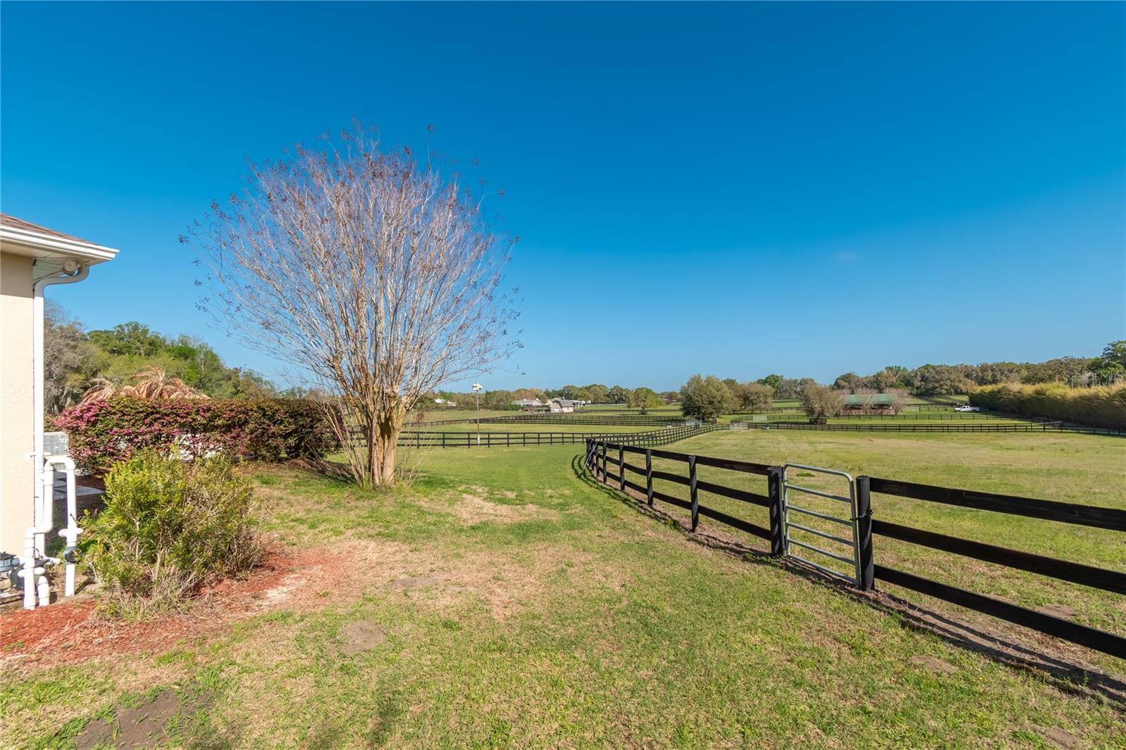 8785 NW 63RD ST, OCALA, FL — photo 85