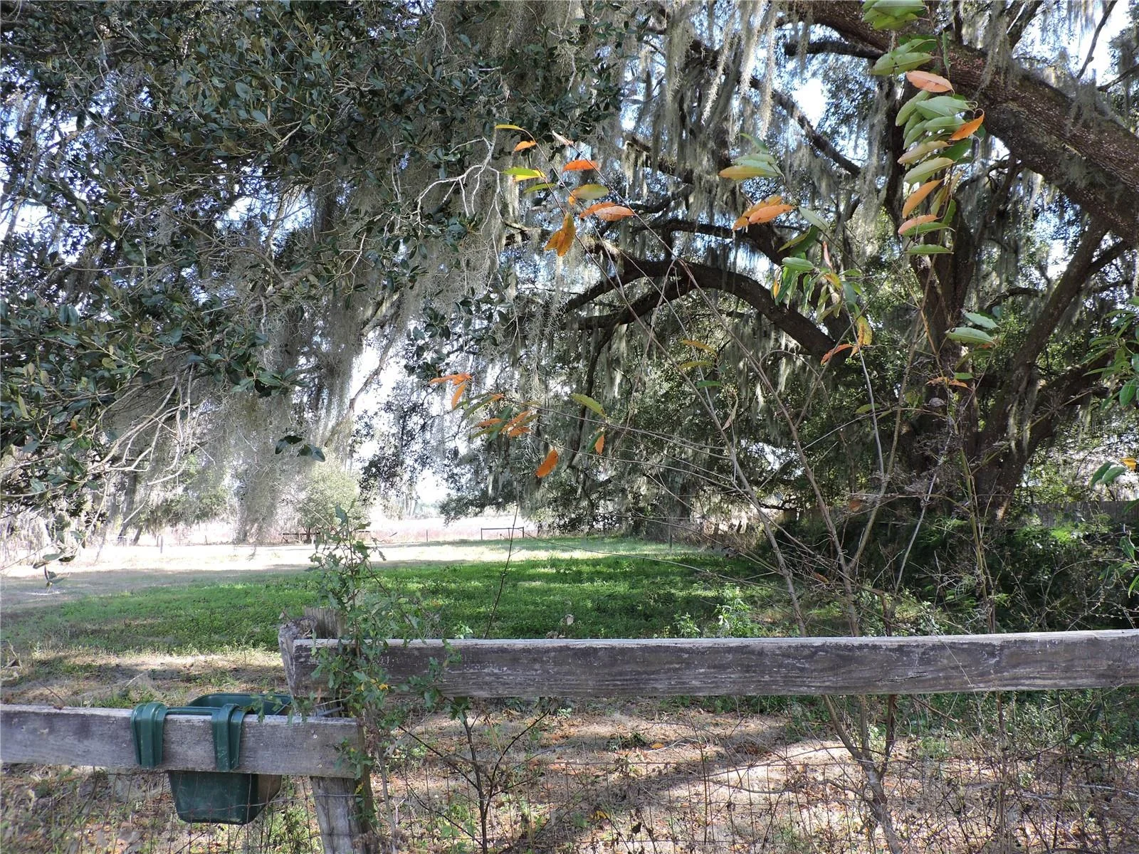 148 DENVER RD, CRESCENT CITY, FL — photo 36