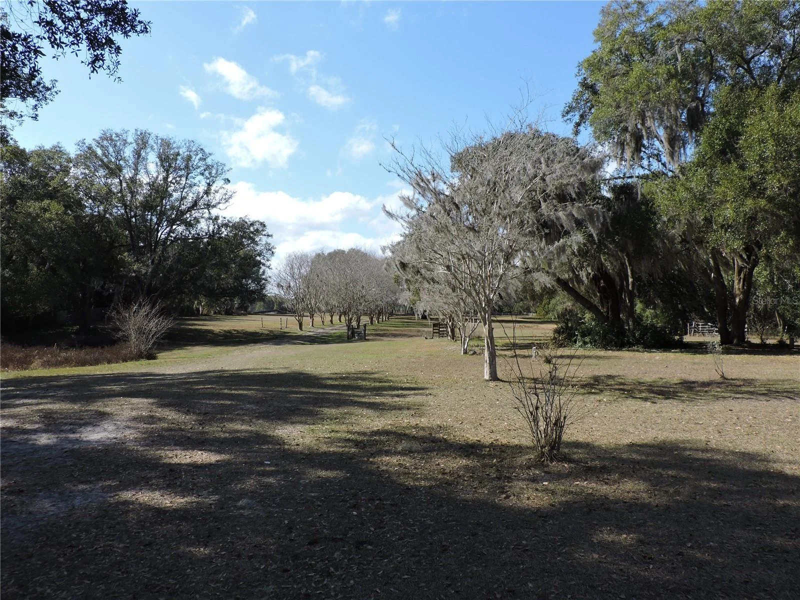 148 DENVER RD, CRESCENT CITY, FL — photo 40