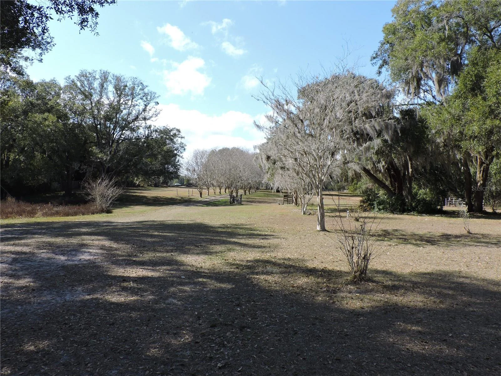 148 DENVER RD, CRESCENT CITY, FL — photo 41