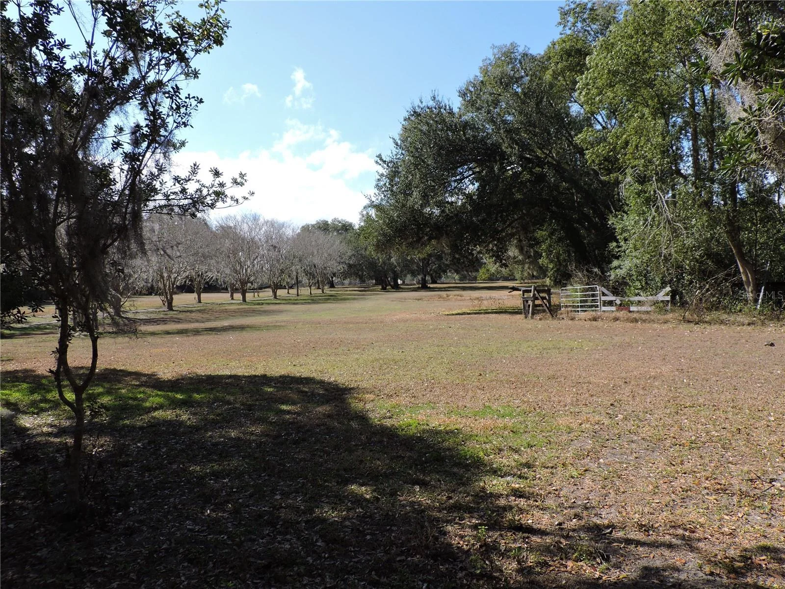 148 DENVER RD, CRESCENT CITY, FL — photo 42