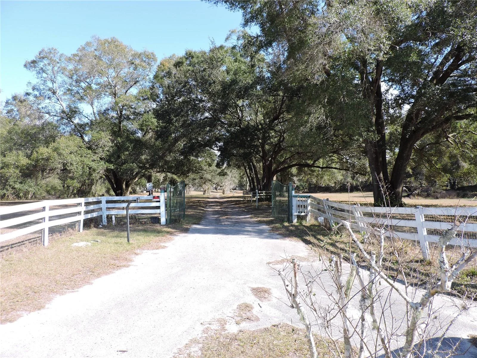 148 DENVER RD, CRESCENT CITY, FL — photo 44