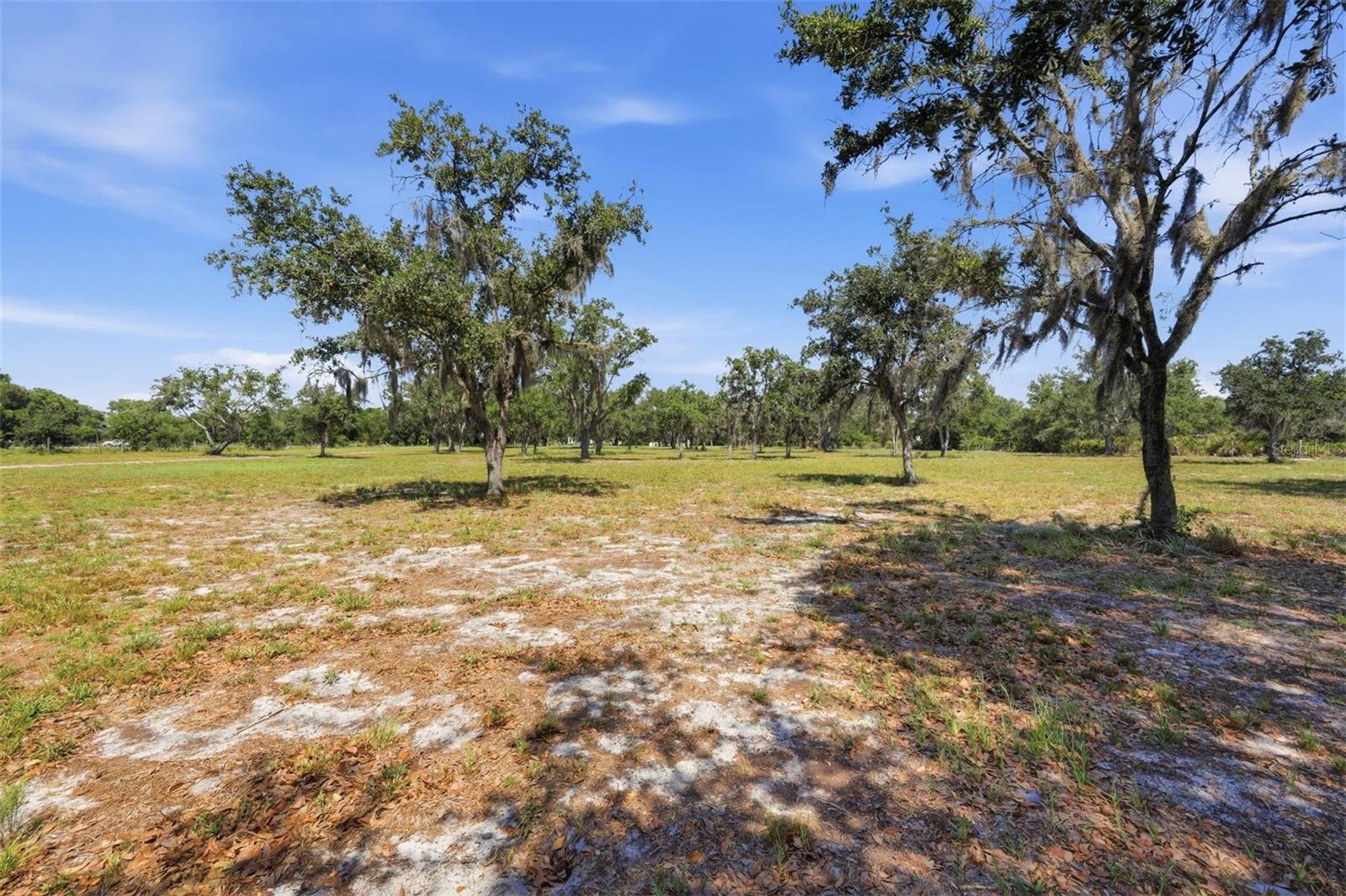 6096 NW CUL DE SAC RD, ARCADIA, FL — photo 15