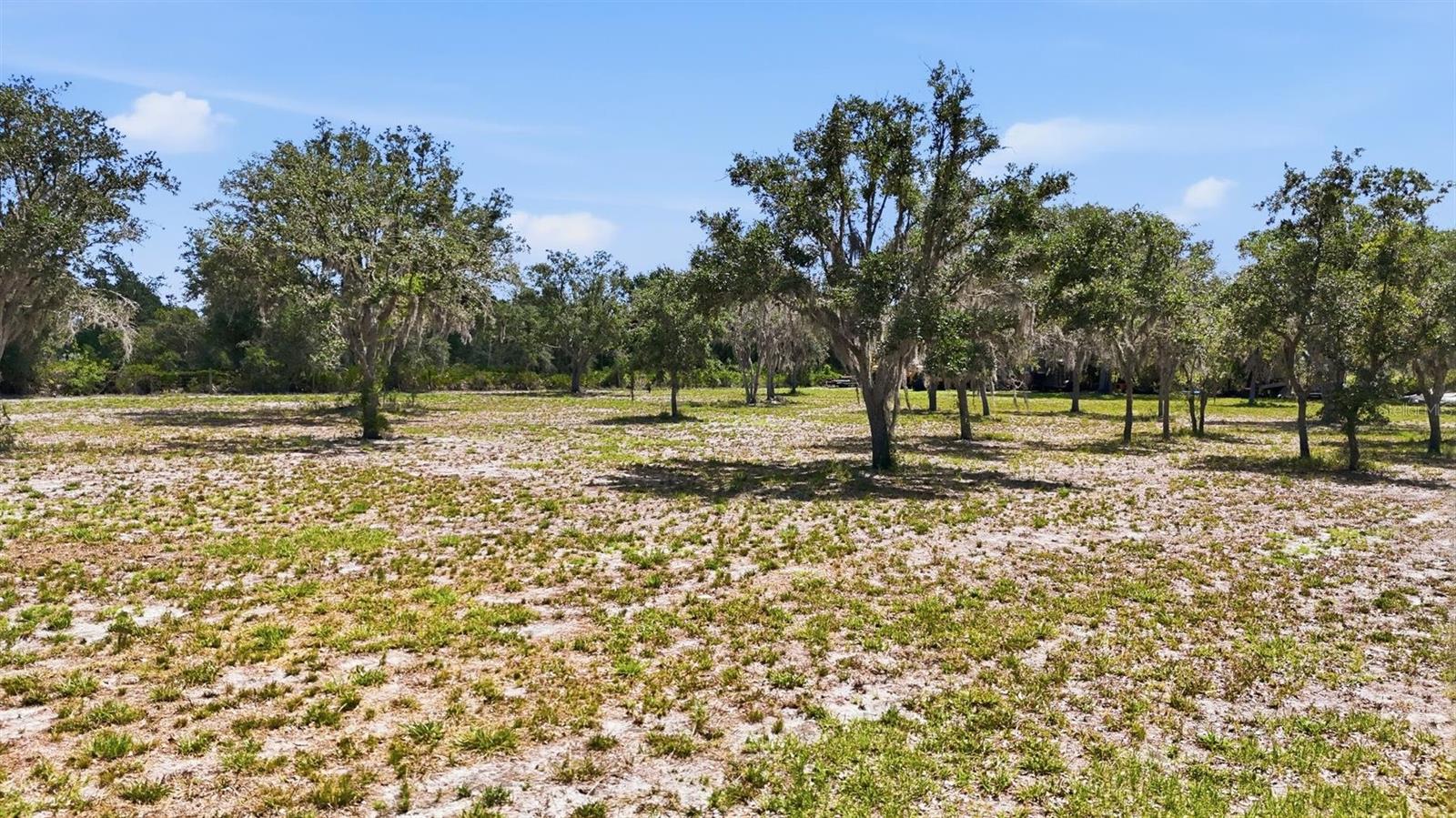 6096 NW CUL DE SAC RD, ARCADIA, FL — photo 22