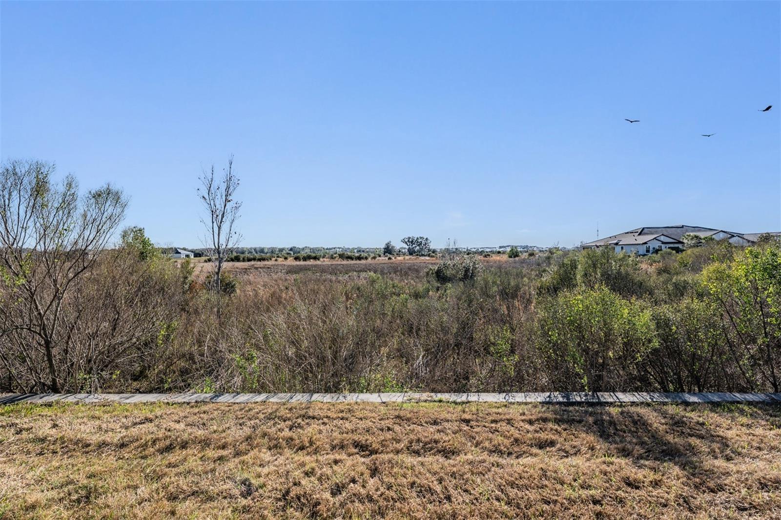 10334 ECHO DOCK LOOP, SAN ANTONIO, FL — photo 10