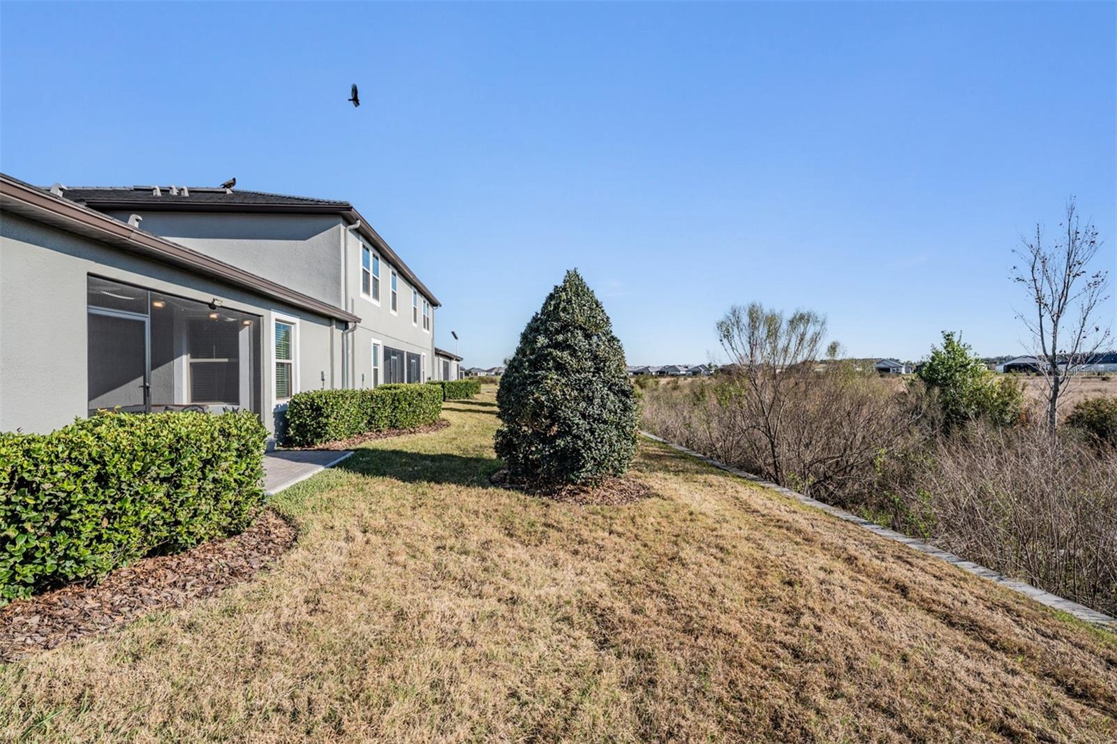 10334 ECHO DOCK LOOP, SAN ANTONIO, FL — photo 30