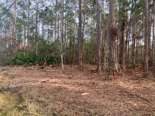 4515 MAHOGANY BLVD, BUNNELL, FL