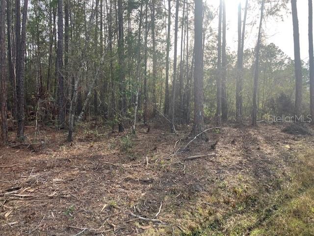 4515 MAHOGANY BLVD, BUNNELL, FL — photo 3