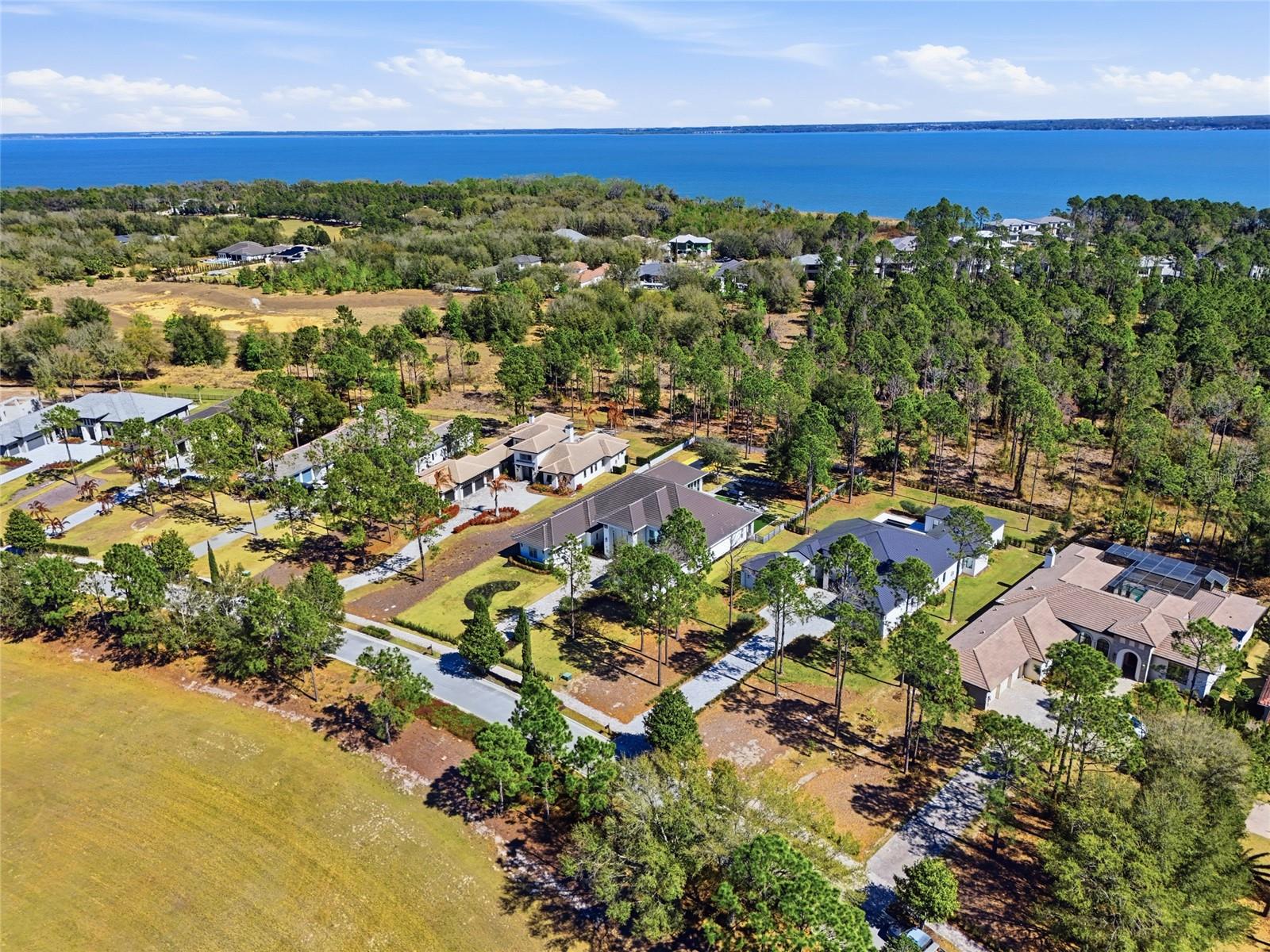 16848 VINCI WAY, BELLA COLLINA, FL — photo 63