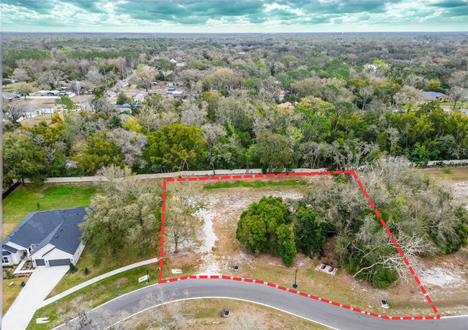 18469 PURPLE CREEK LN, LUTZ, FL