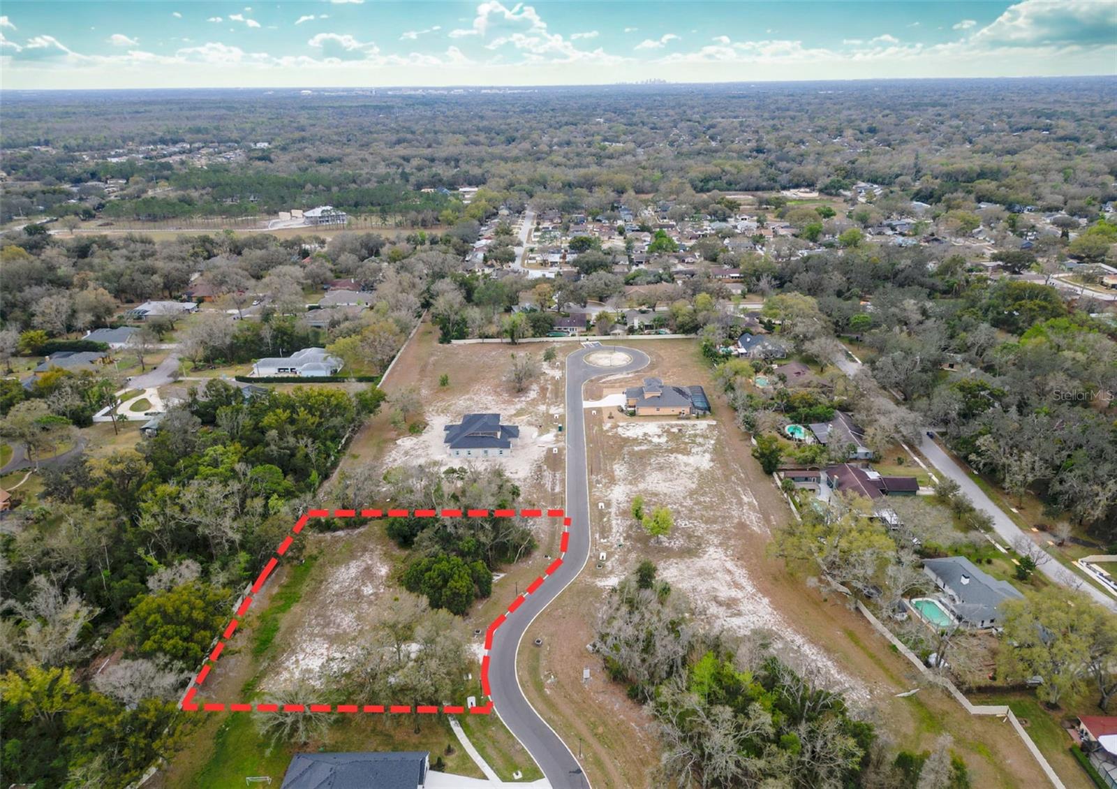 18469 PURPLE CREEK LN, LUTZ, FL — photo 3