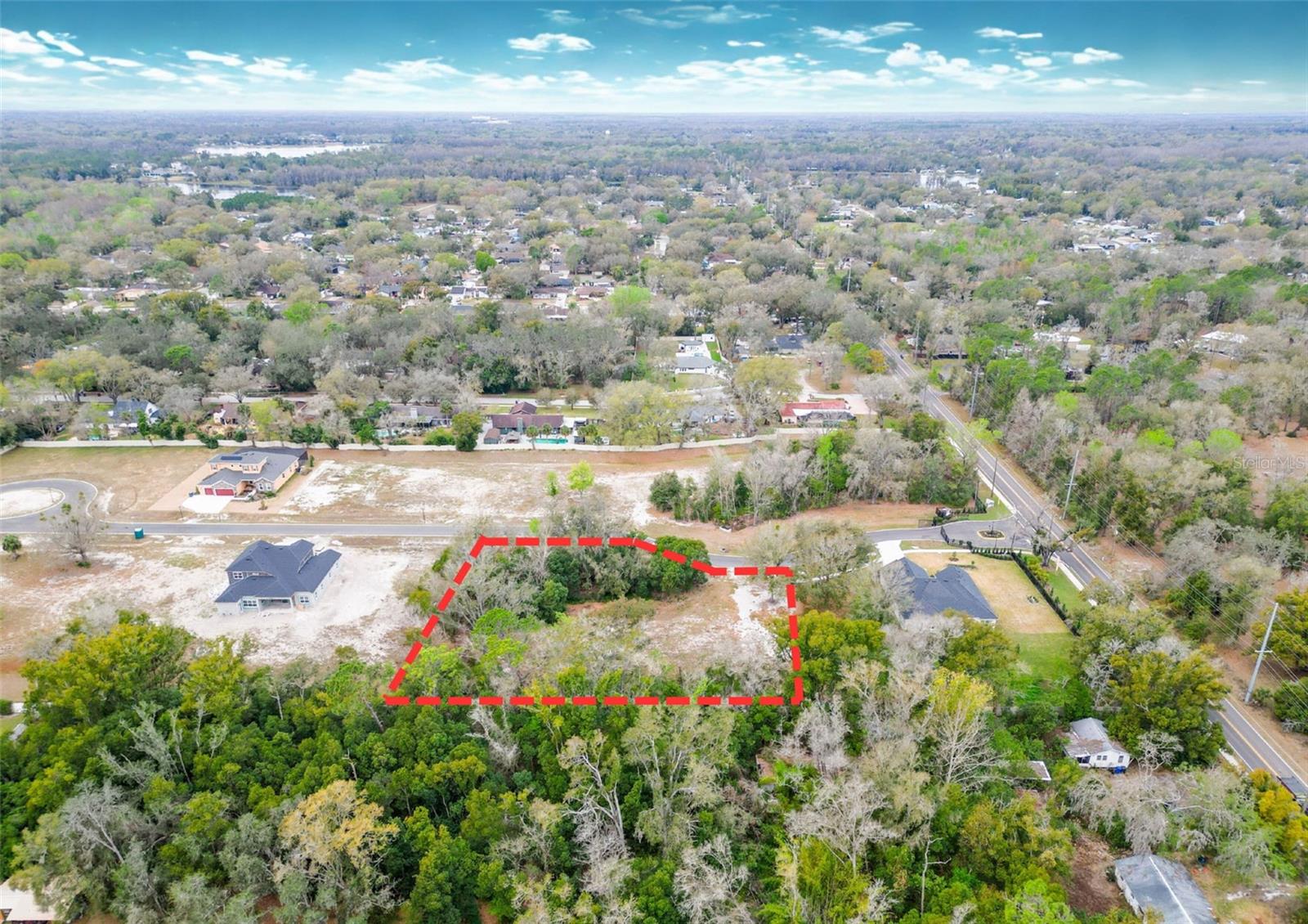 18469 PURPLE CREEK LN, LUTZ, FL — photo 4