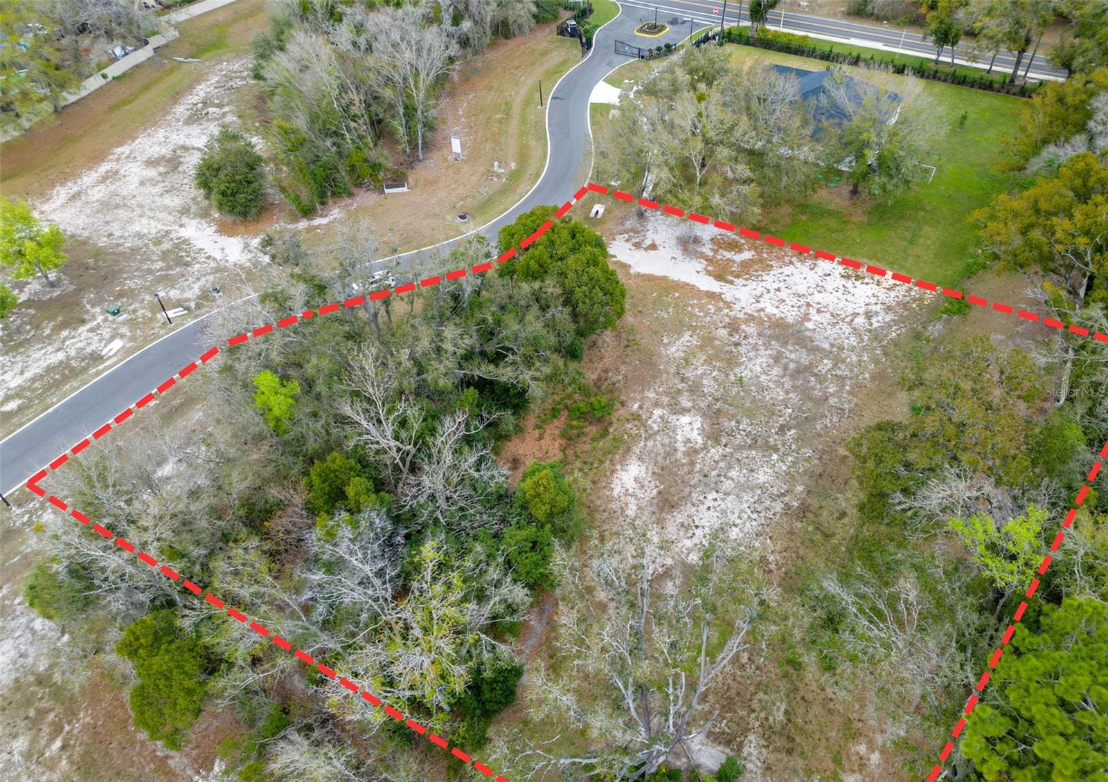 18469 PURPLE CREEK LN, LUTZ, FL — photo 5