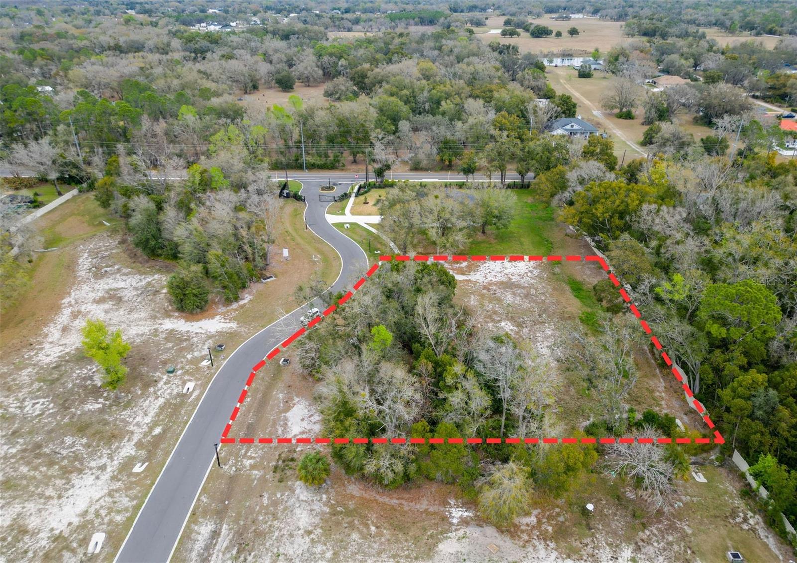 18469 PURPLE CREEK LN, LUTZ, FL — photo 6