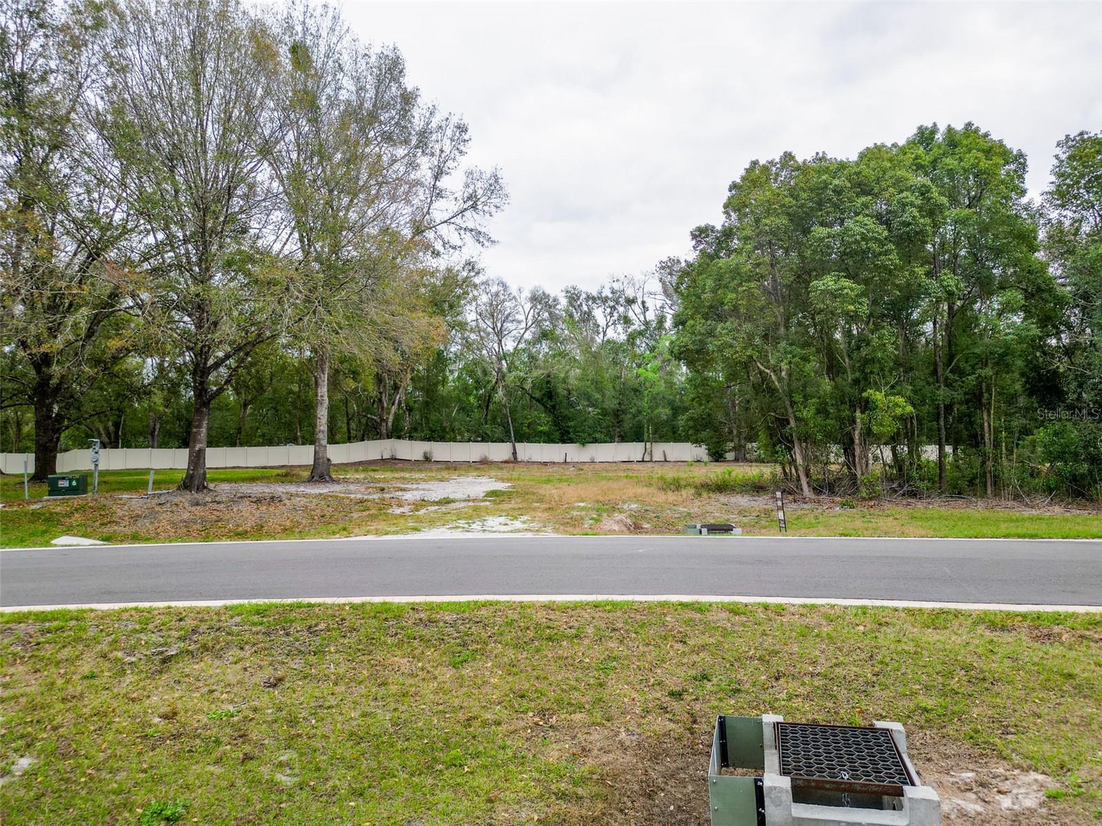 18469 PURPLE CREEK LN, LUTZ, FL — photo 7