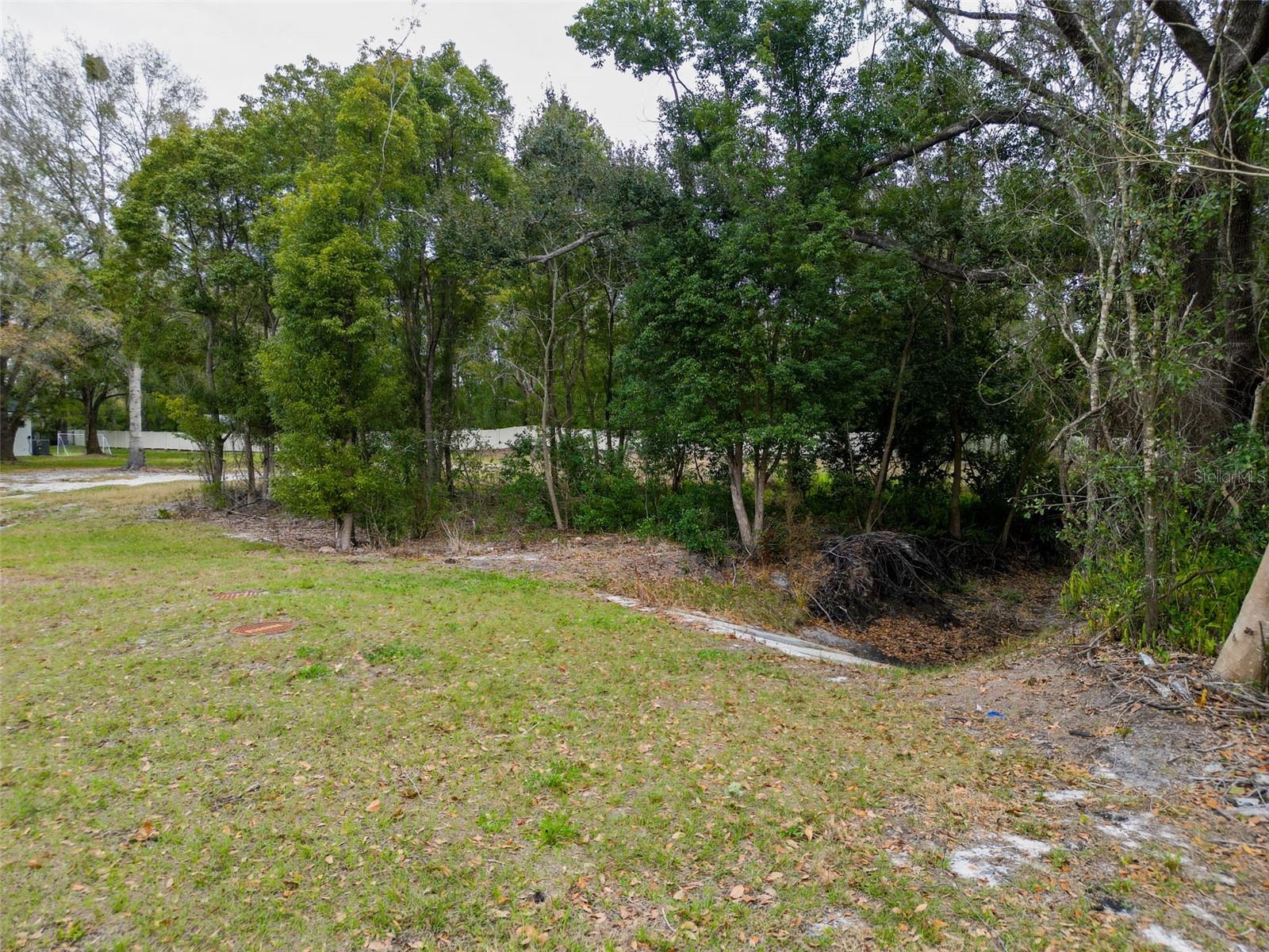 18469 PURPLE CREEK LN, LUTZ, FL — photo 8