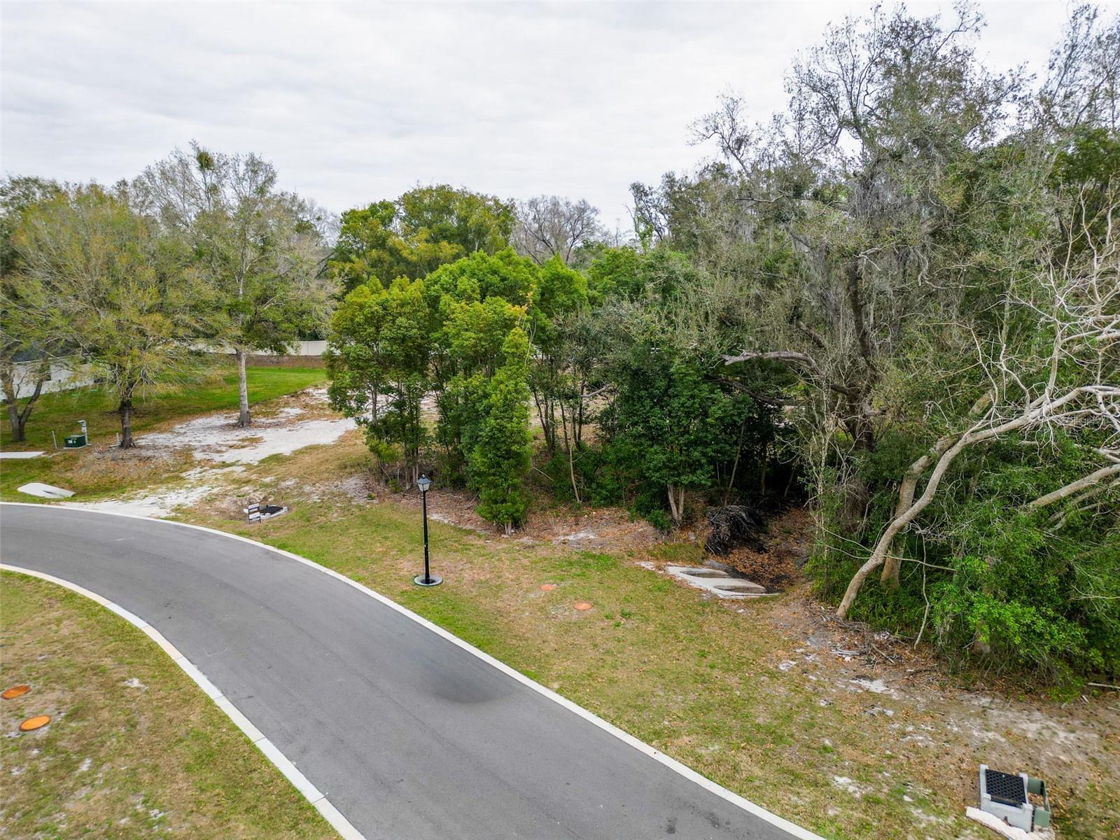 18469 PURPLE CREEK LN, LUTZ, FL — photo 9