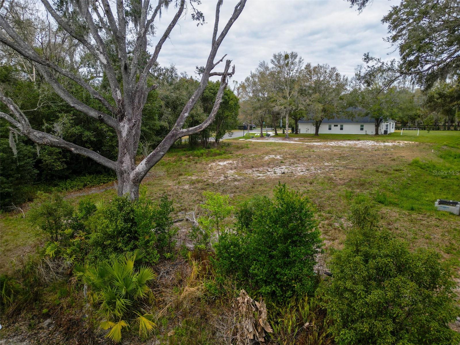 18469 PURPLE CREEK LN, LUTZ, FL — photo 10