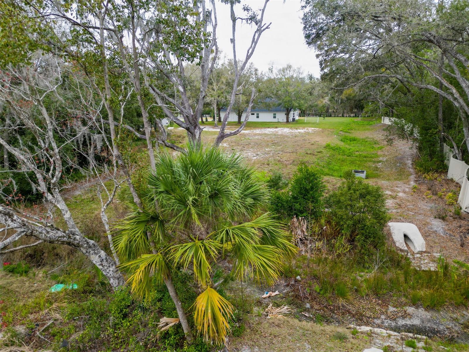 18469 PURPLE CREEK LN, LUTZ, FL — photo 11