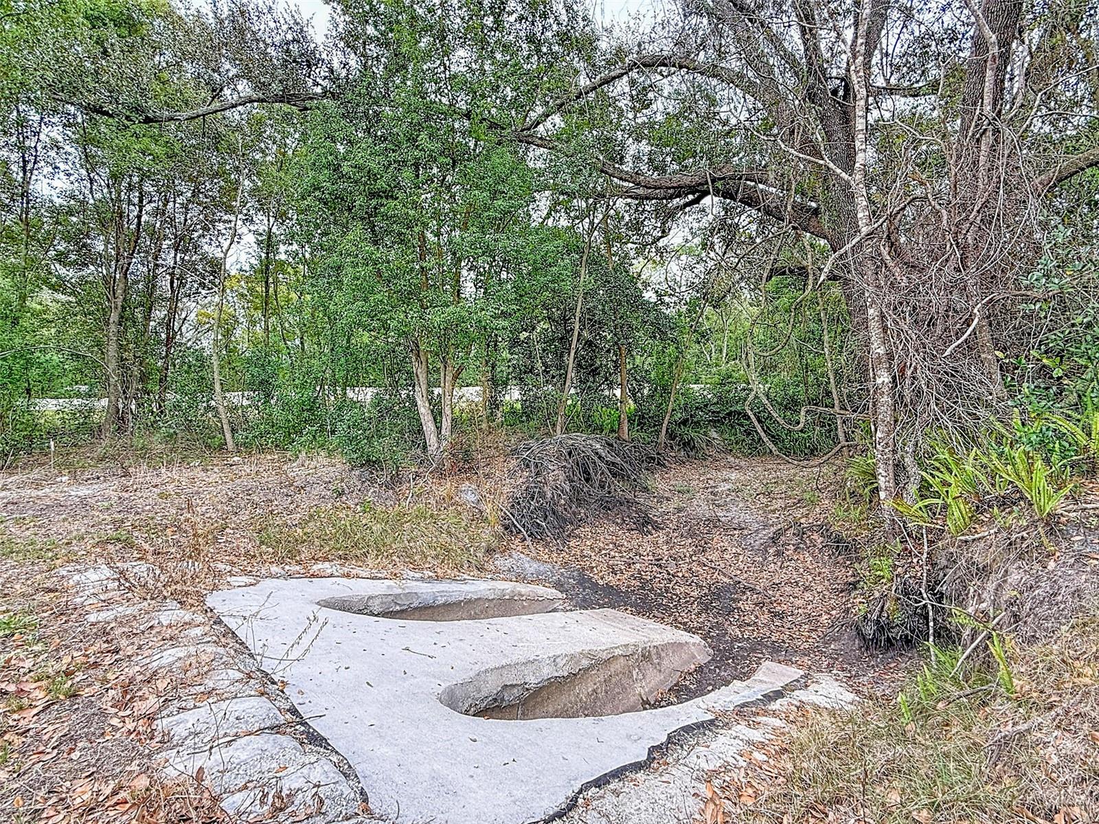 18469 PURPLE CREEK LN, LUTZ, FL — photo 12