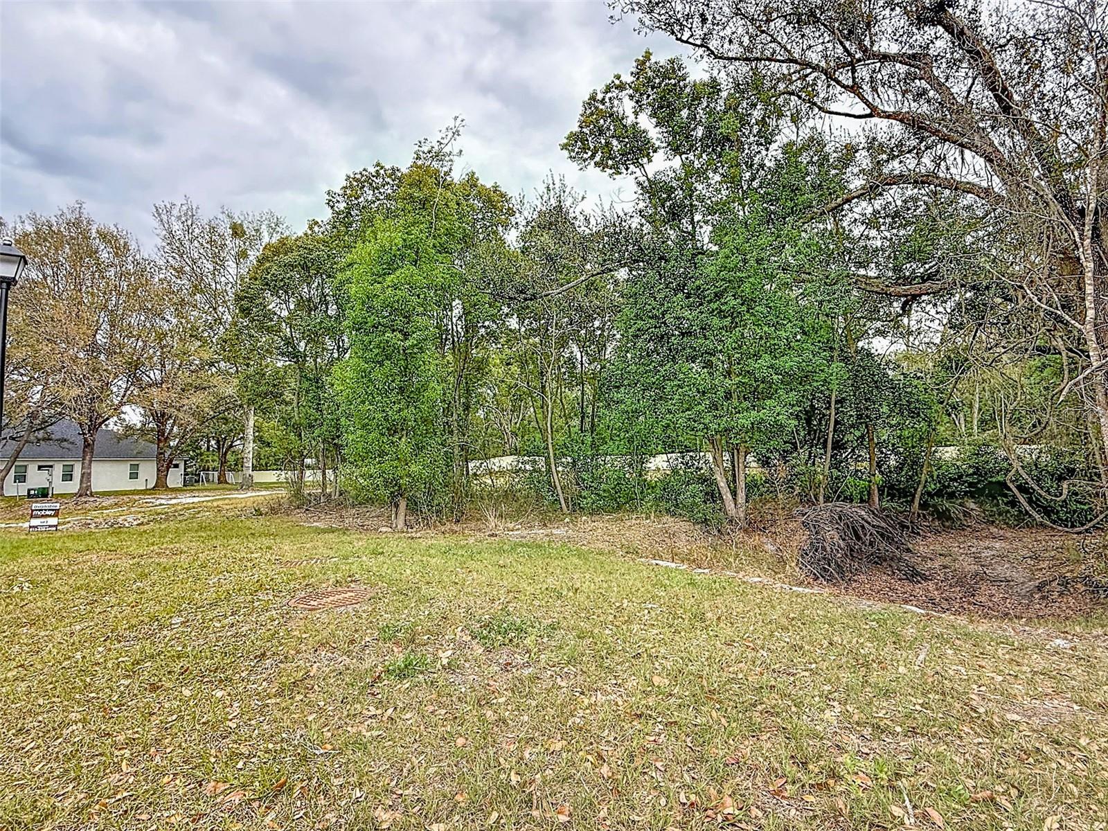 18469 PURPLE CREEK LN, LUTZ, FL — photo 13