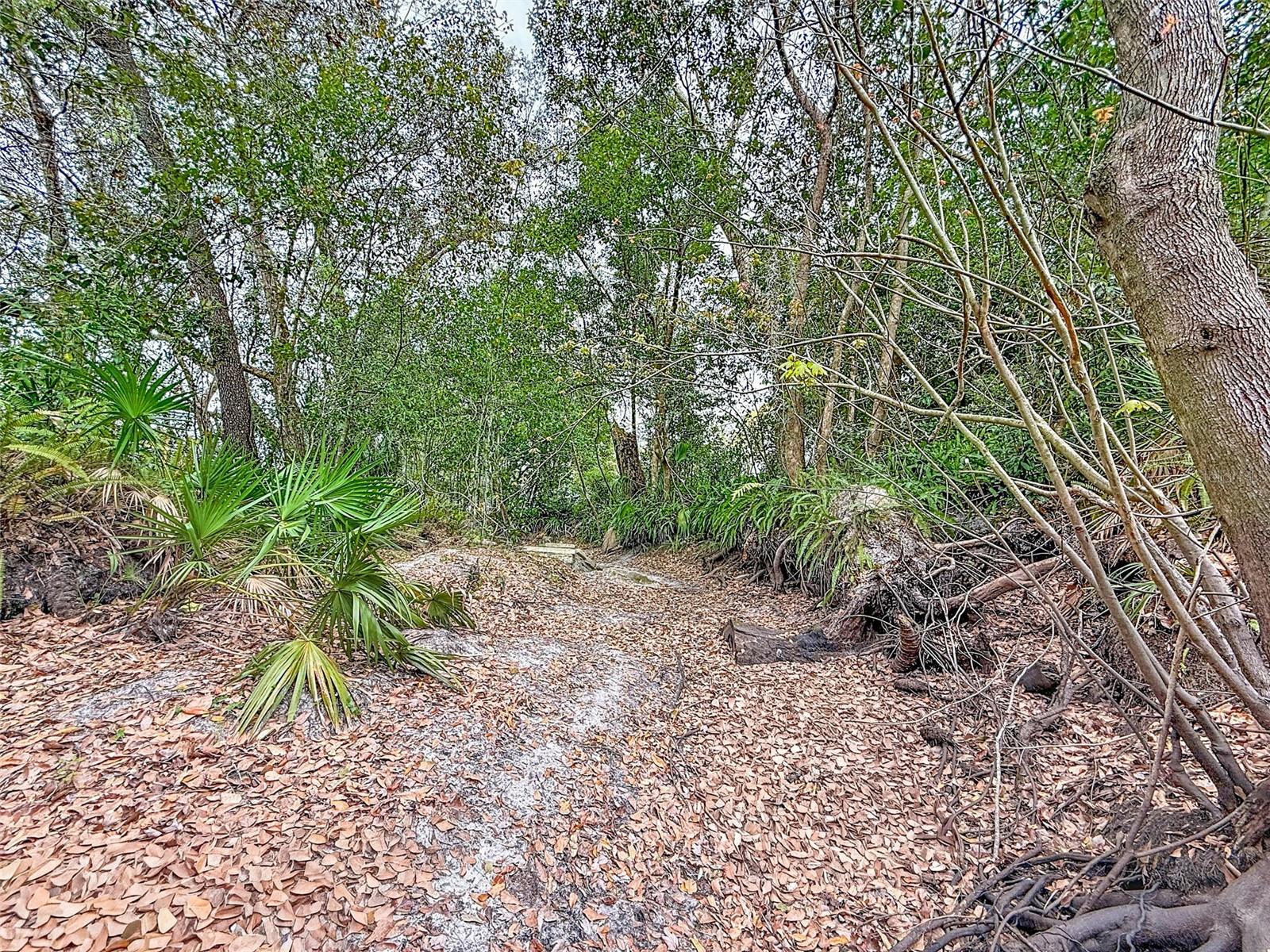 18469 PURPLE CREEK LN, LUTZ, FL — photo 17