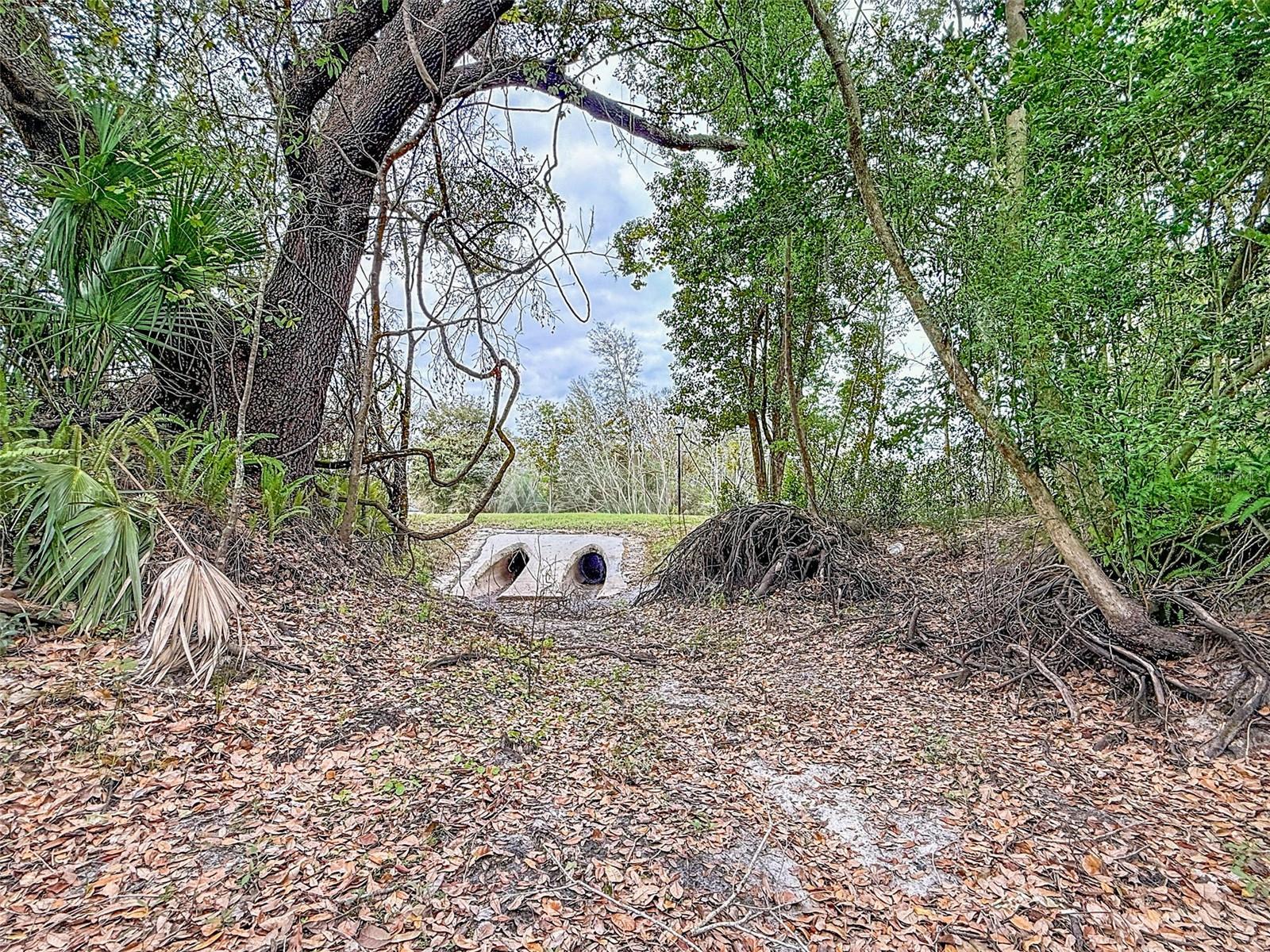 18469 PURPLE CREEK LN, LUTZ, FL — photo 18