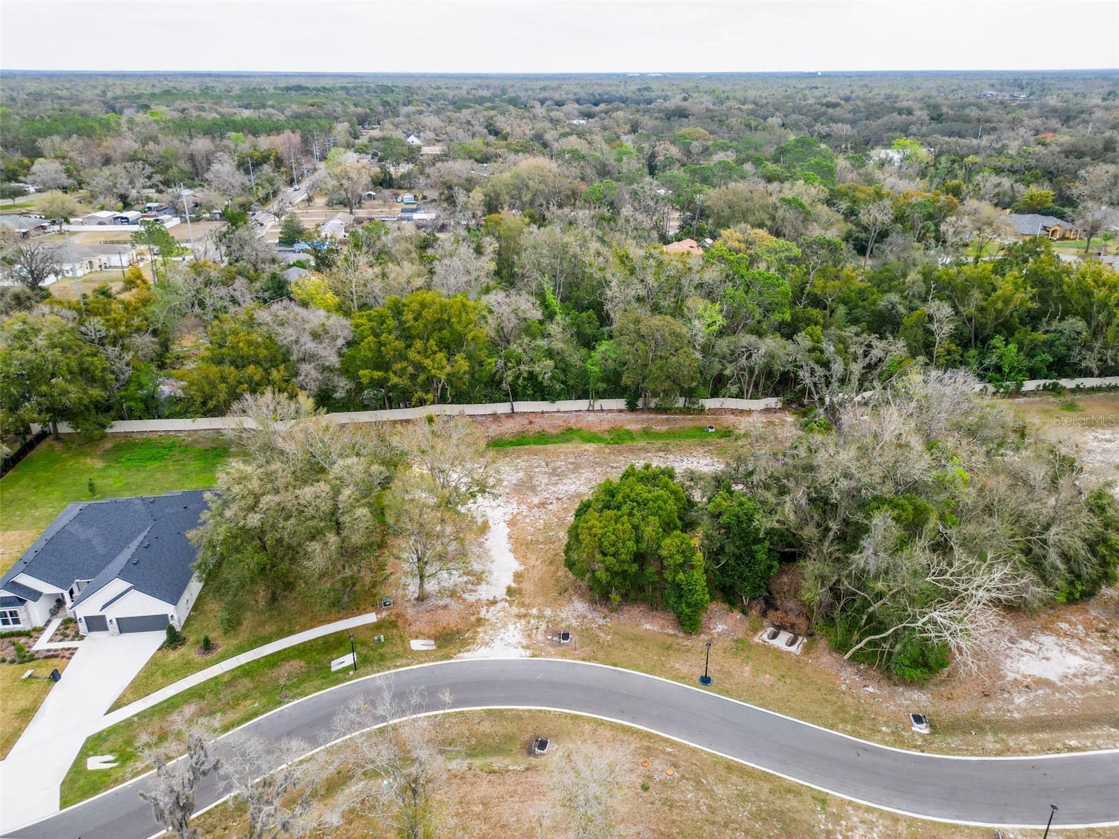 18469 PURPLE CREEK LN, LUTZ, FL — photo 20