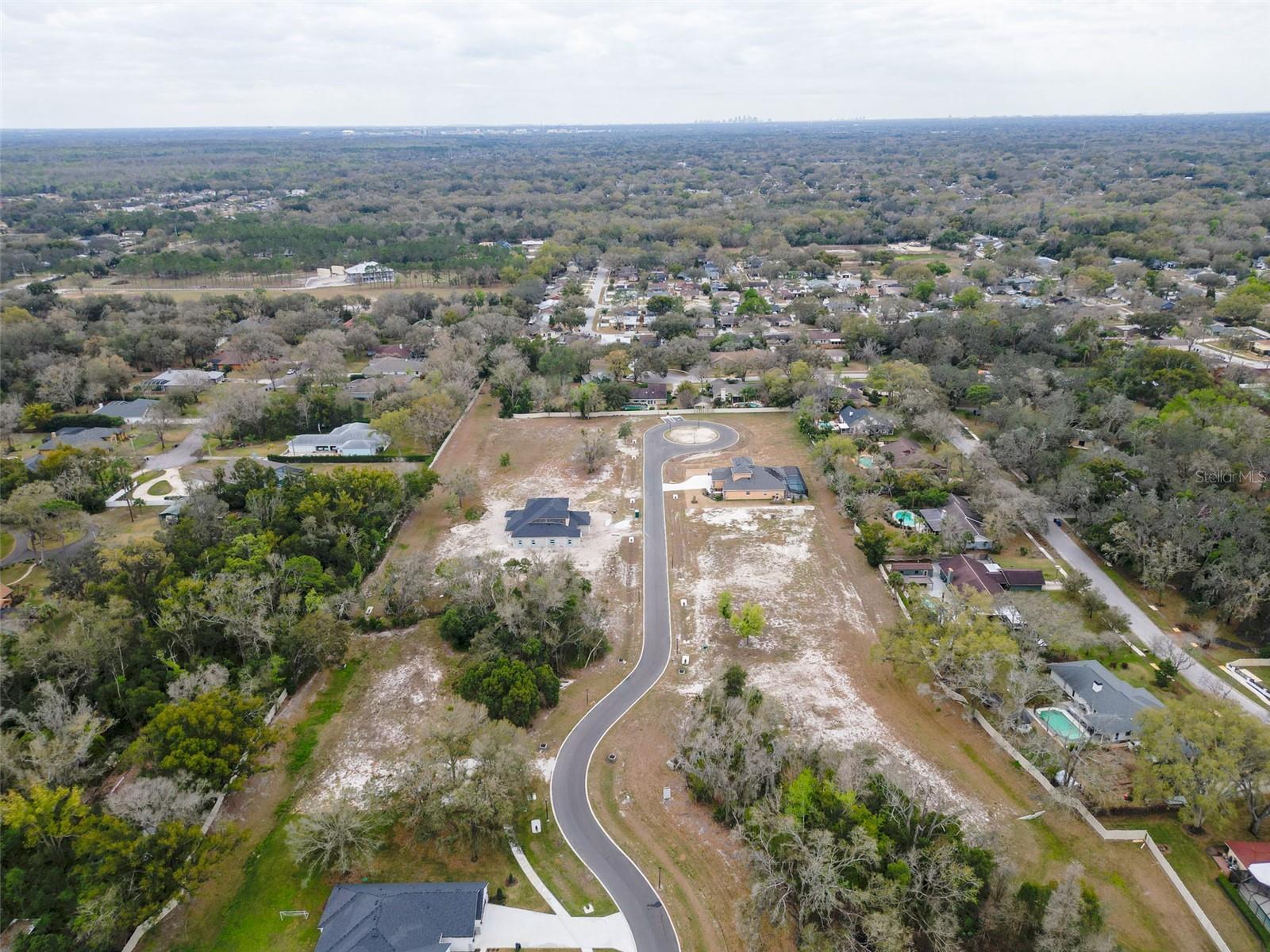 18469 PURPLE CREEK LN, LUTZ, FL — photo 22