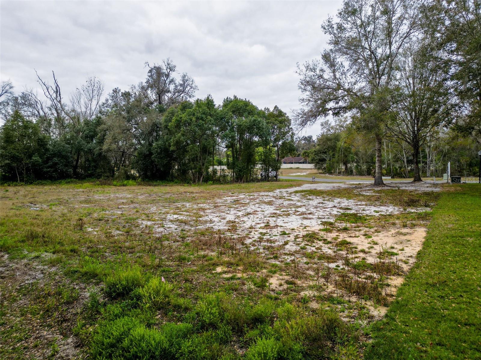 18469 PURPLE CREEK LN, LUTZ, FL — photo 24