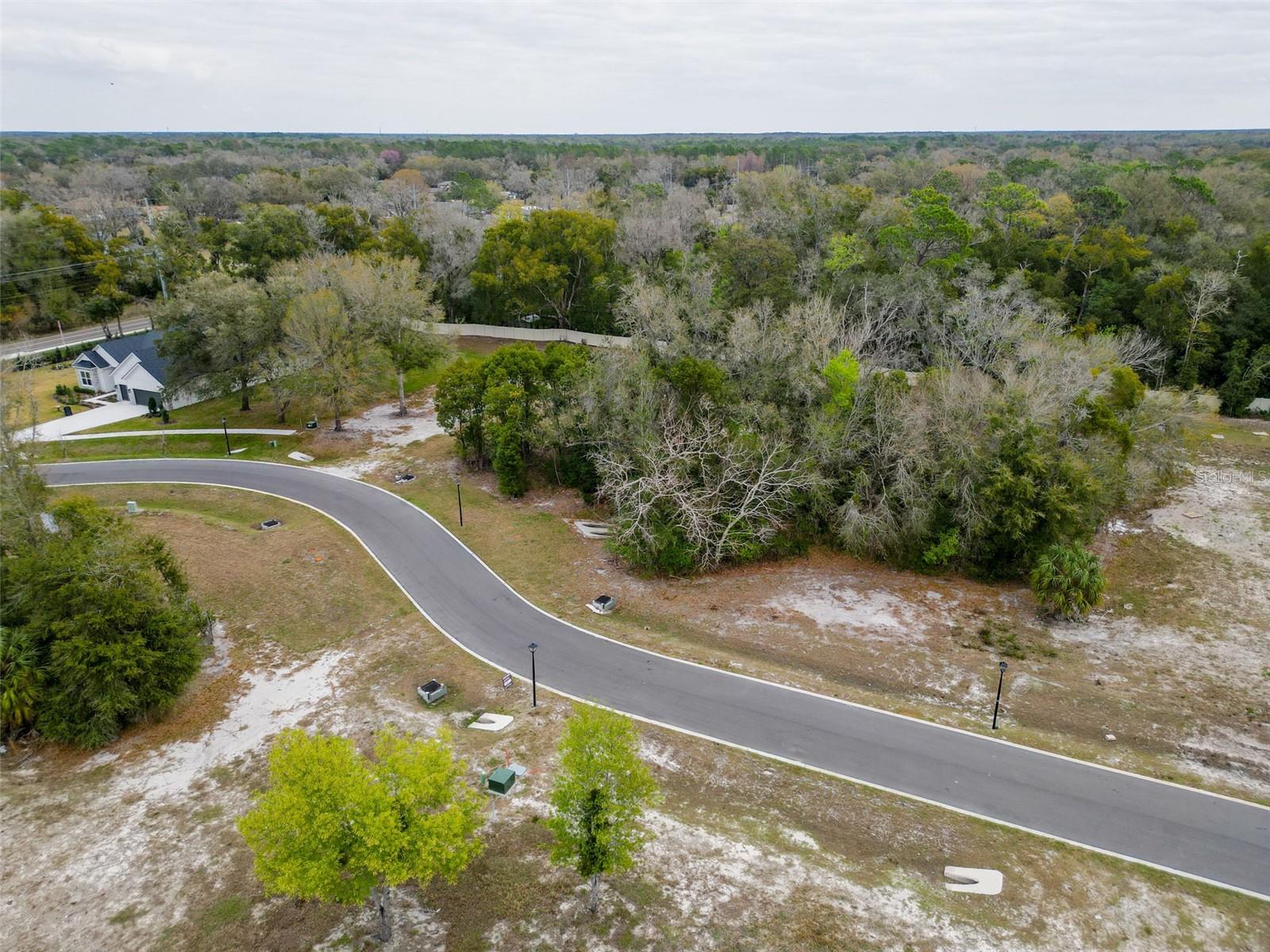 18469 PURPLE CREEK LN, LUTZ, FL — photo 26