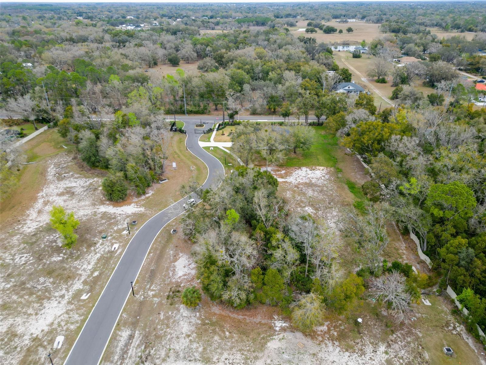 18469 PURPLE CREEK LN, LUTZ, FL — photo 27