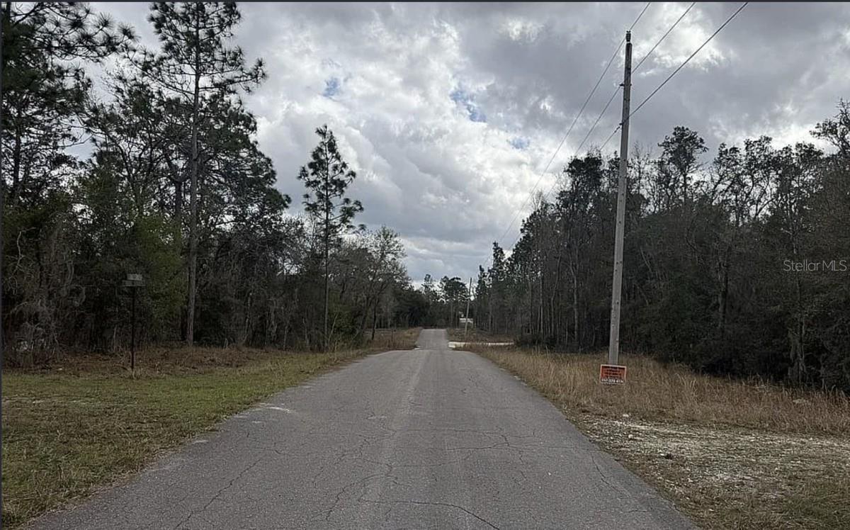 0 NE 16TH PL, WILLISTON, FL — photo 2