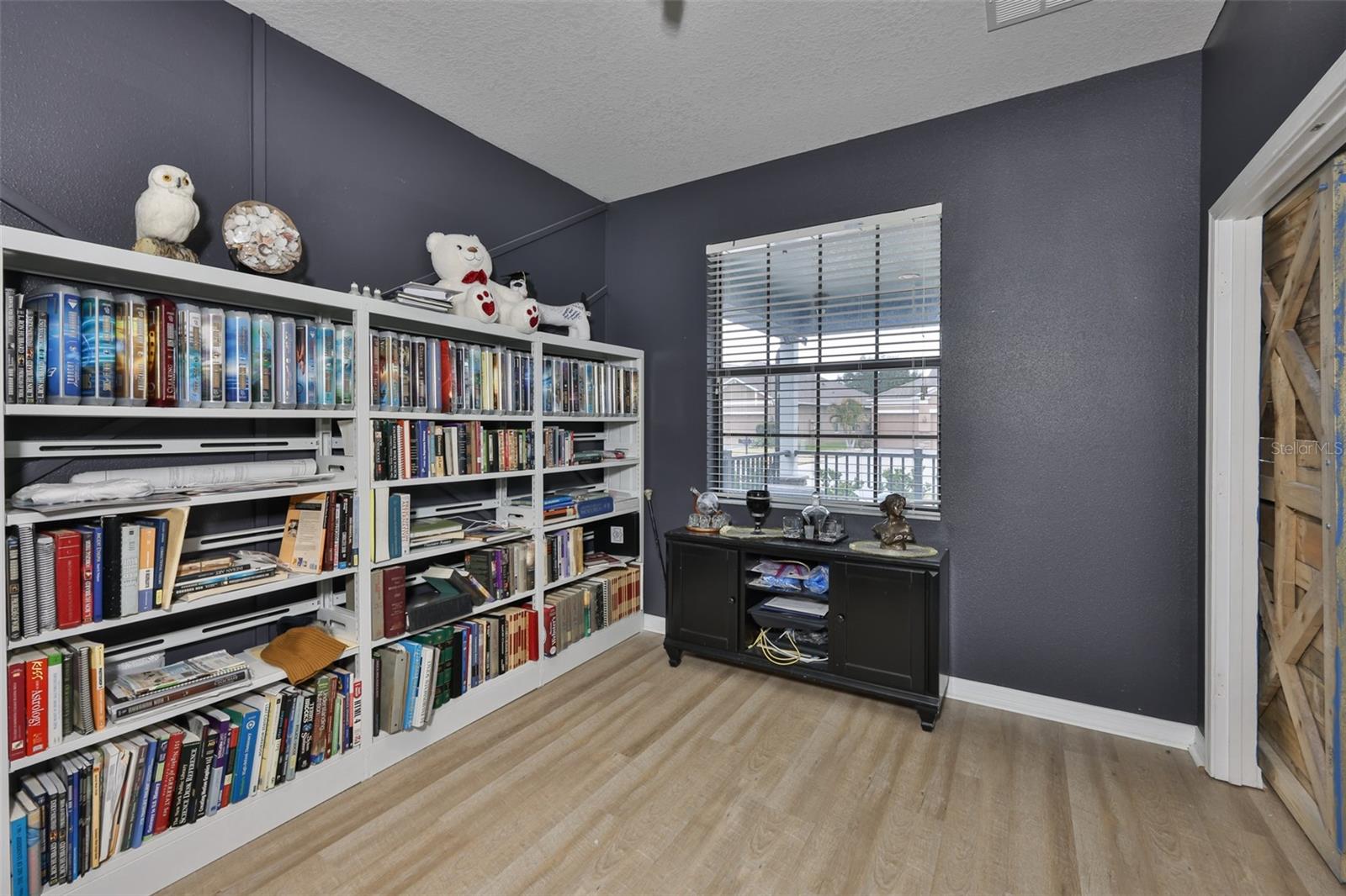 10039 SMARTY JONES DR, RUSKIN, FL — photo 10