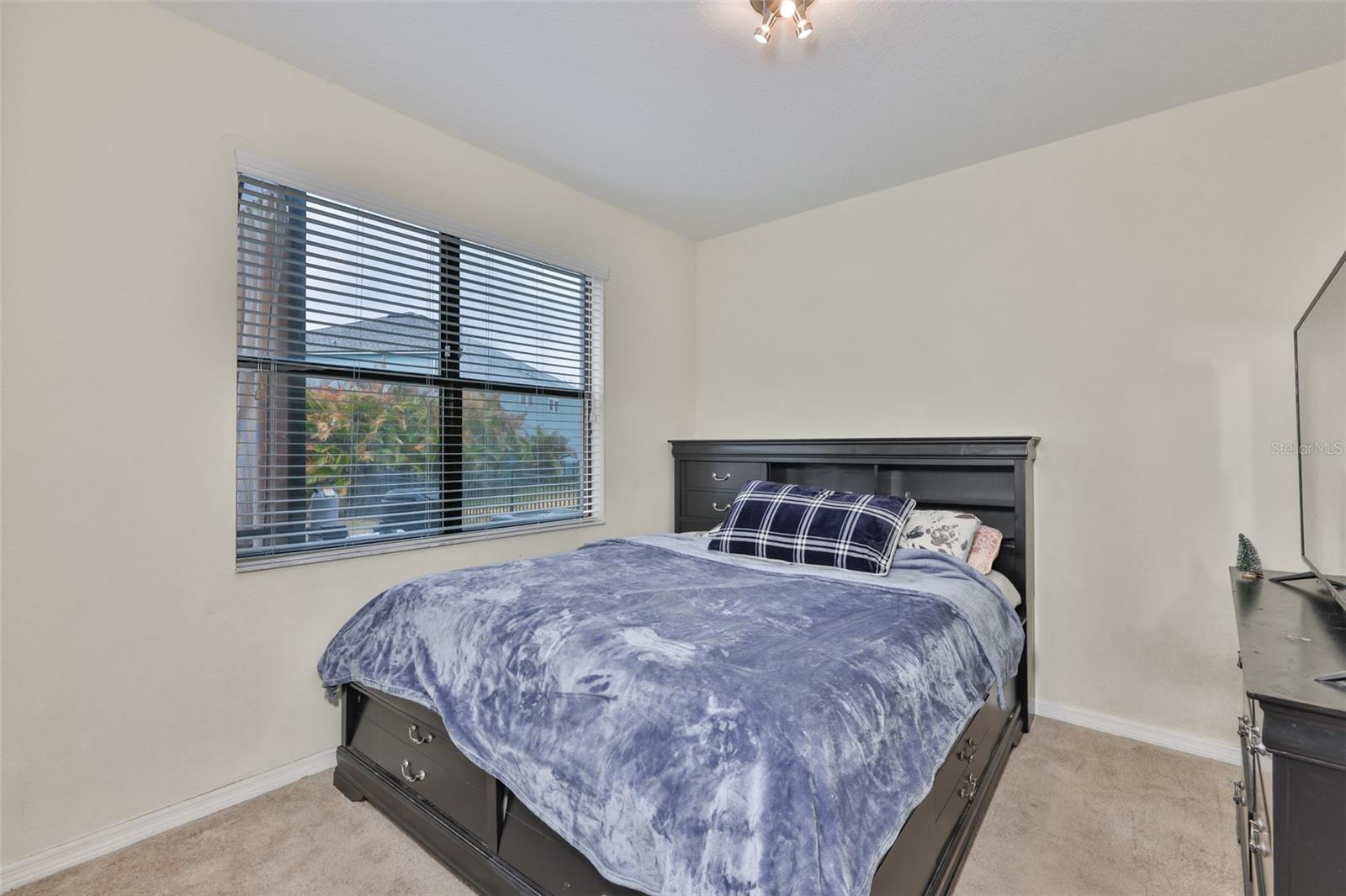 10039 SMARTY JONES DR, RUSKIN, FL — photo 20