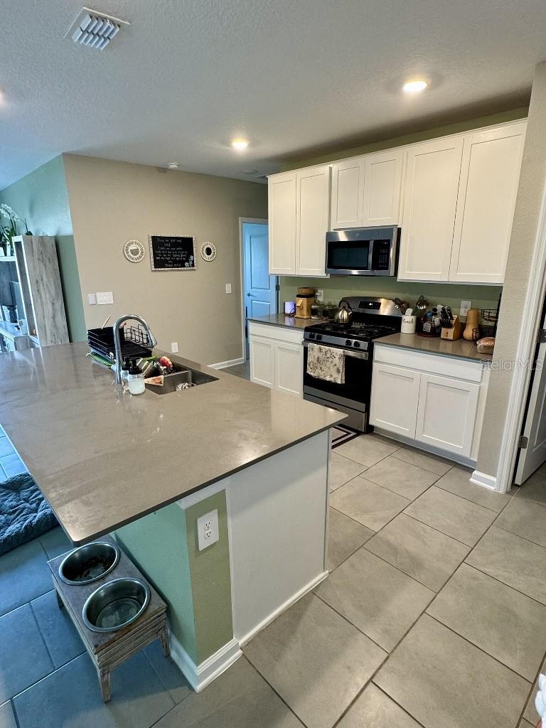 5511 BRAKEN FERN WAY, LEESBURG, FL — photo 13