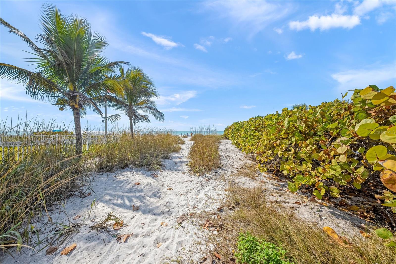 105 49TH ST, HOLMES BEACH, FL — photo 55