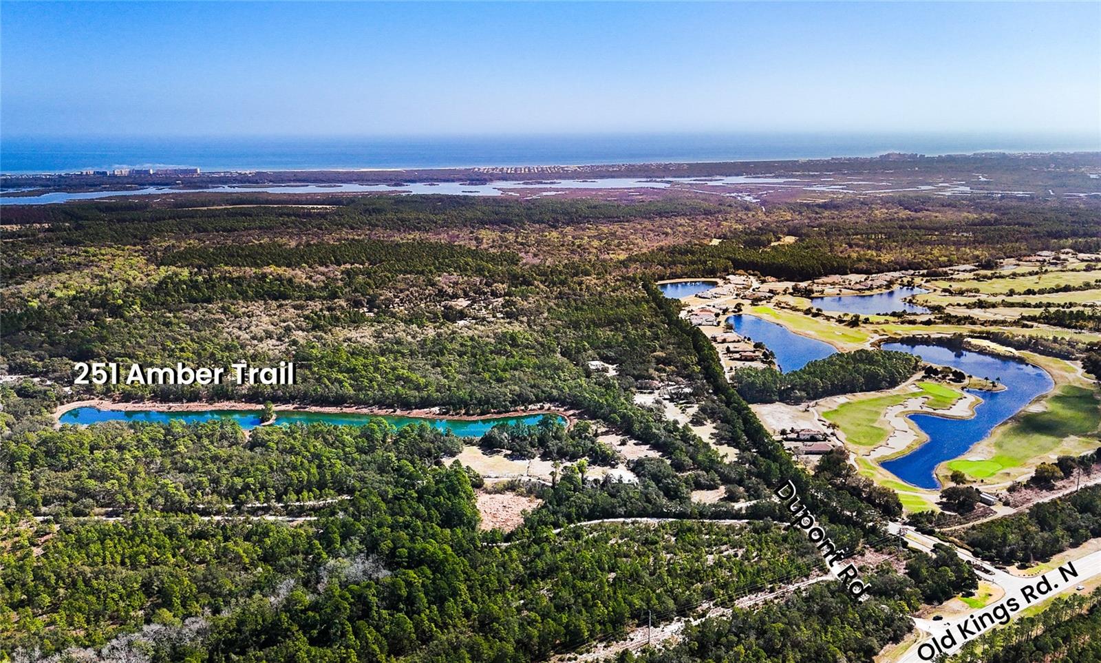 251 AMBER TRL, PALM COAST, FL