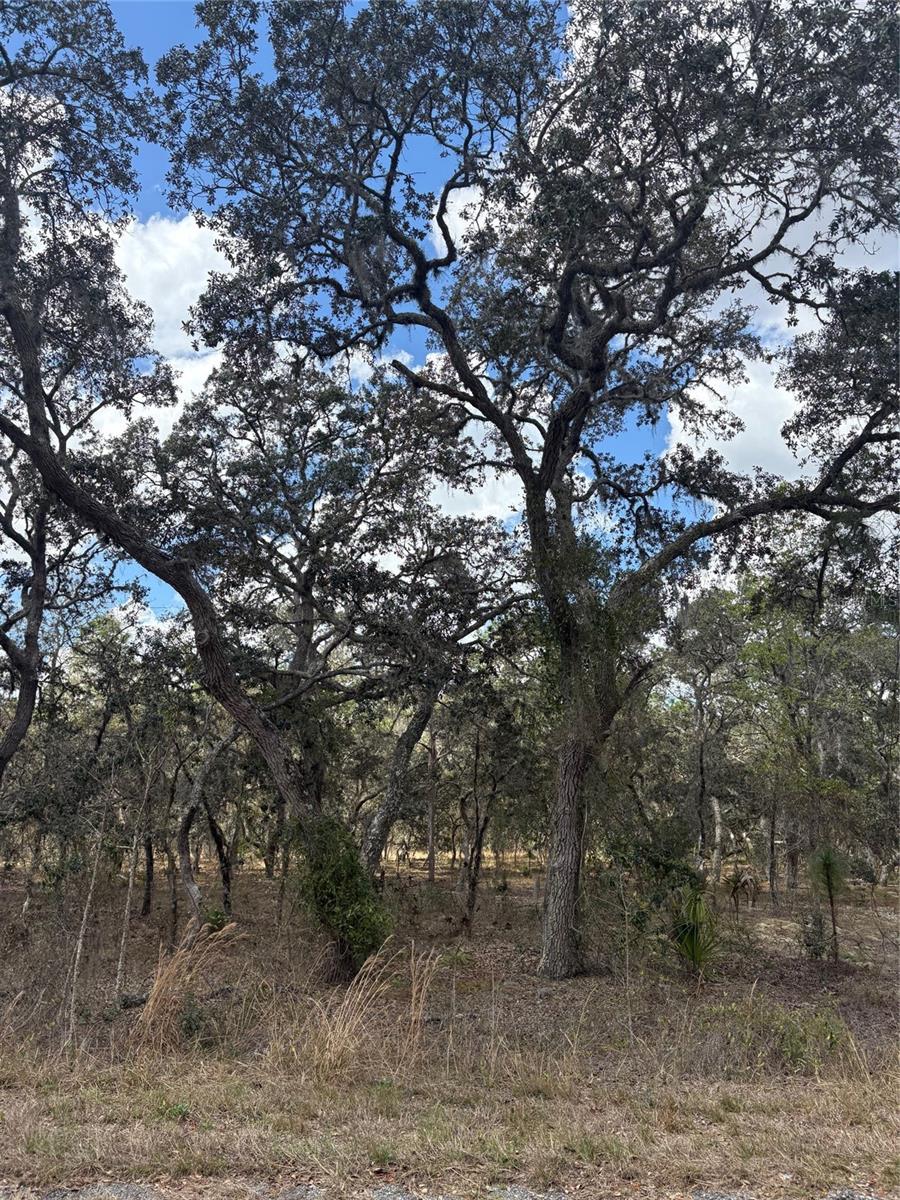 TBA SE 131ST TER, DUNNELLON, FL